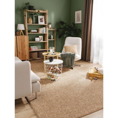 Pestav vaip Enzo Helepruun 240x340 cm