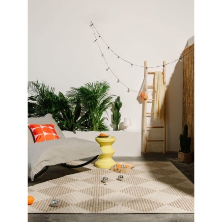 Sise- ja välivaip Lex Beež 120x170 cm