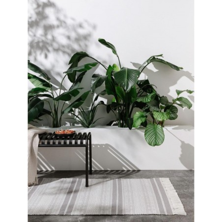 Sise- ja välisvaip Runner Siena Hall 80x250 cm