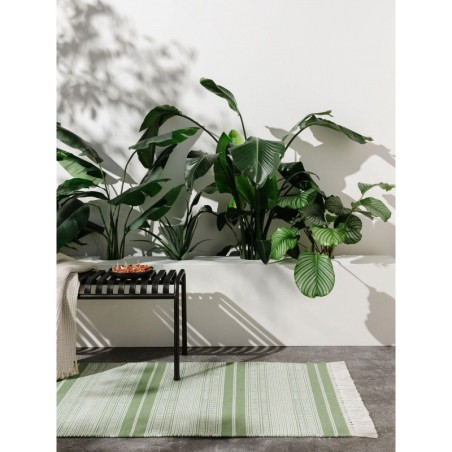 Sise- ja välisvaip Runner Siena Green 80x250 cm