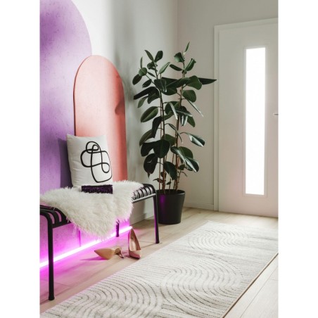 Sise- ja välisvaip Runner Mars Cream 80x240 cm | FreshDesign.ee