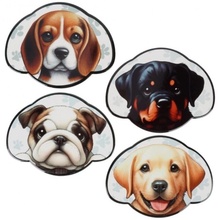 Tassialused koerahoidlas, 4 tk. | FreshDesign.ee