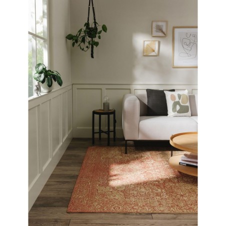 Madal vaip Frencie Rose 80x165 cm