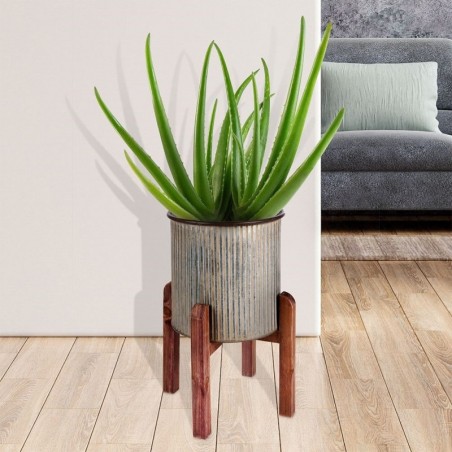 Lillepott alusel, teras, 27x39 cm