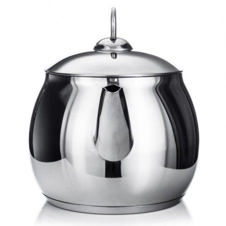 Terasest veekeetja hõbedane ANETT 1,68 l