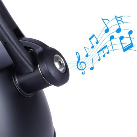 Veekeetja, teras, must, termomeetriga, 3 l | FreshDesign.ee