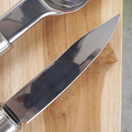 Puu- ja juurviljanoad, teras, 4 tk. | FreshDesign.ee