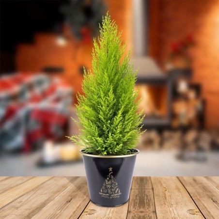 Metallist lillepoti kate must 23x20 cm