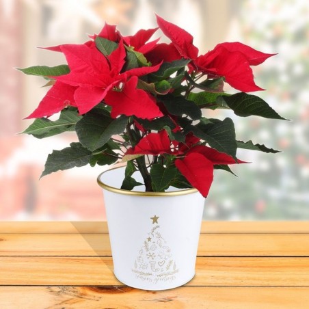 Metallist lillepoti kate, valge, 16,5x15,5 cm