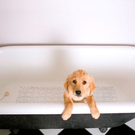 Libisemisvastane dušimatt, läbipaistev, 70x35 cm | FreshDesign.ee