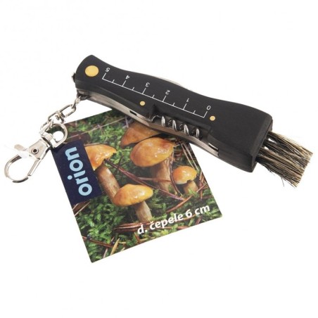 Terasest seene nuga | FreshDesign.ee