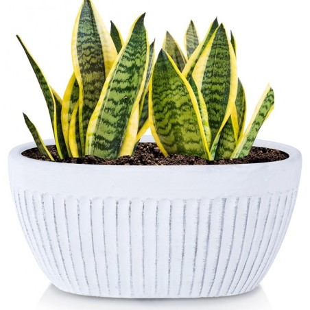 Keraamiline lillepott valge 20x11 cm | FreshDesign.ee