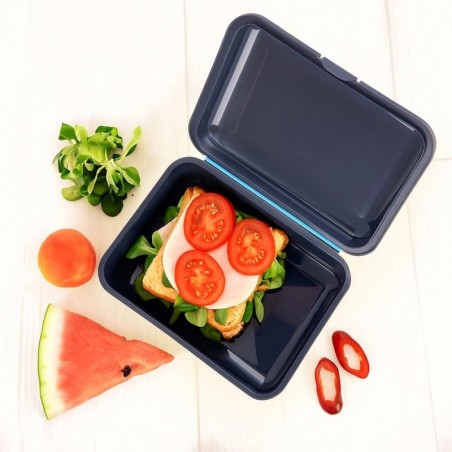 Meresinine kosmose lõunasööginõu 750 ml