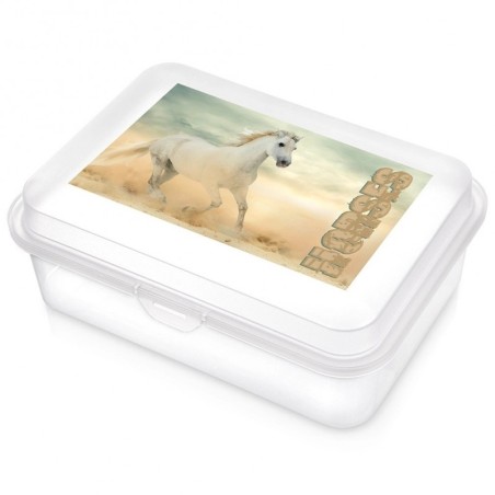 Läbipaistev hobuselõuna konteiner 750 ml | FreshDesign.ee