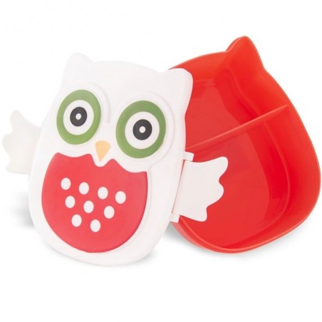 Öökull lõunakarp ÖÖKULL