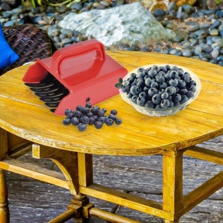 Marjakorjaja 15x10x9 cm