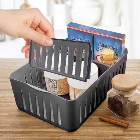 Maitseainete korraldaja konteiner hall 24,5x16x8 cm