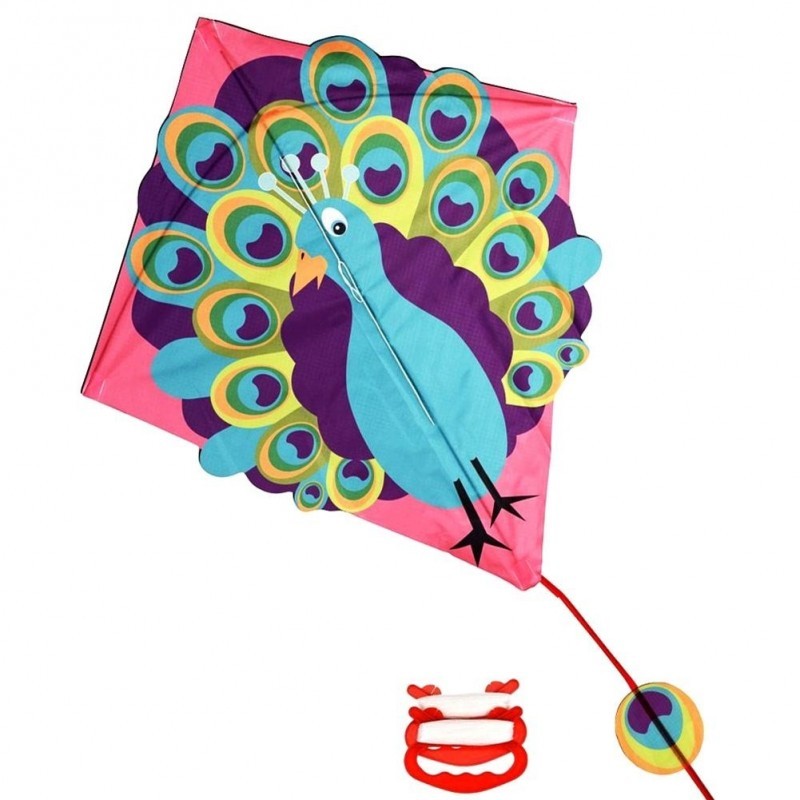 Paabulinnu tuulelohe 65x59 cm | FreshDesign.ee