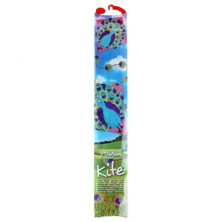 Paabulinnu tuulelohe 65x59 cm | FreshDesign.ee