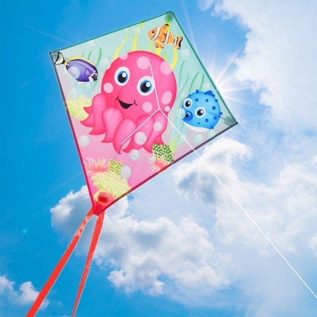 Kaheksajala tuulelohe 57x52 cm