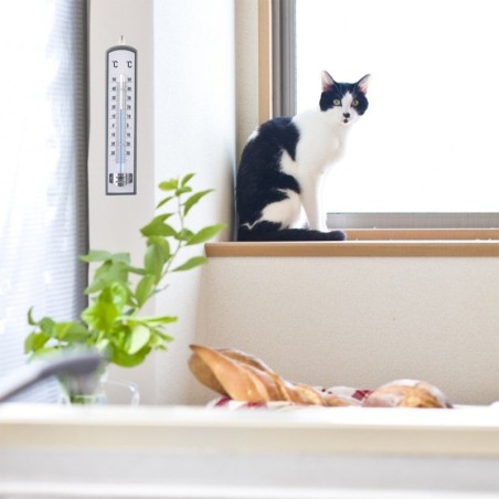 Puidust universaalne termomeeter 21 cm