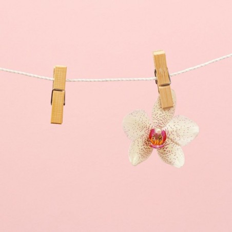 Puidust pesulõksud 60 tk. | FreshDesign.ee