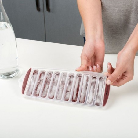 TERRESTRIAL silikoonist jääkuubikuvorm 30x... | FreshDesign.ee
