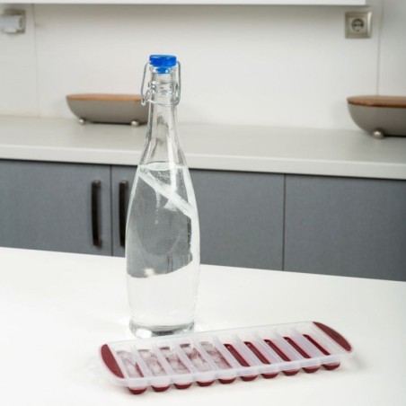 TERRESTRIAL silikoonist jääkuubikuvorm 30x... | FreshDesign.ee