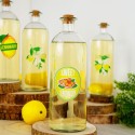 Klaas limonaadipudel 1 l | FreshDesign.ee