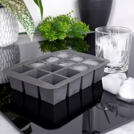 Silikoonist jääkuubikuvorm 19,5x14x4 cm