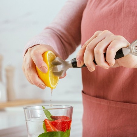 MISTY tsitruseliste mahlapress 21 cm