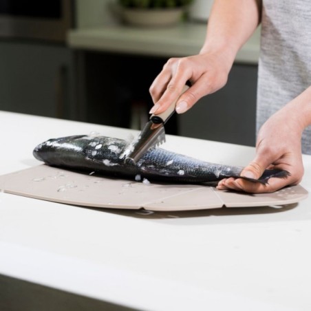 Terasest kala soomuste eemaldaja MISTY 22 cm | FreshDesign.ee