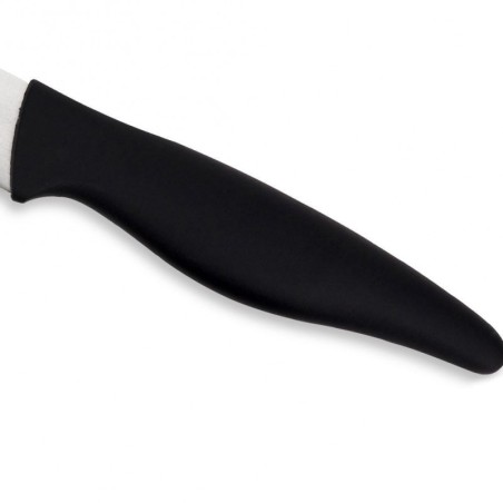 ACER terasest kööginuga 23 cm | FreshDesign.ee