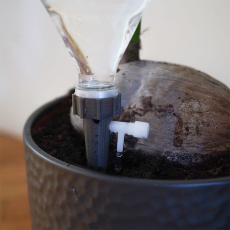 Taimede kastjad 4 tk. | FreshDesign.ee