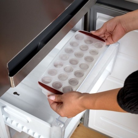 TERRESTRIAL silikoonist jääkuubikuvorm 30x... | FreshDesign.ee