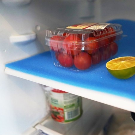 Antibakteriaalne külmkapimatt 47x30 cm | FreshDesign.ee