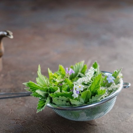 Terasest köögisõel 8 cm