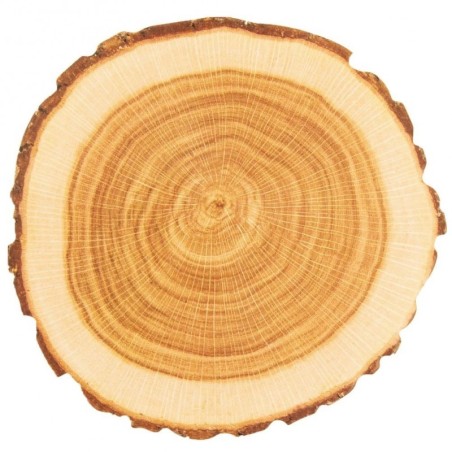 Tassialused 10 cm 10 tk. | FreshDesign.ee