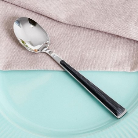 Terasest teelusikas ARYA