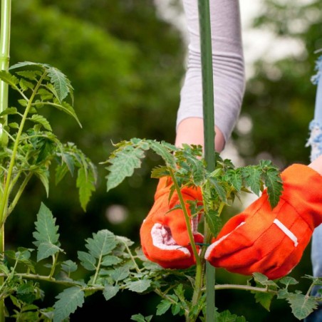 Tugivaiad taimedele 120 cm 10 tk