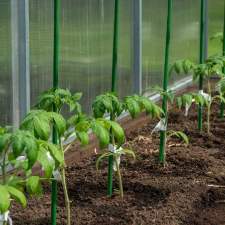 Tugivaiad taimedele 120 cm 10 tk | FreshDesign.ee