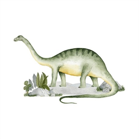 Seinakleebis XL Brontosaurus | FreshDesign.ee