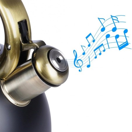 Vilega veekeetja, teras, must 3 liitrit | FreshDesign.ee