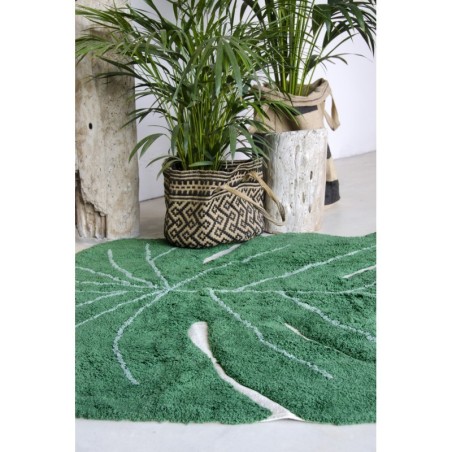 Pestav vaip Monstera Leaf 120x180 cm | FreshDesign.ee