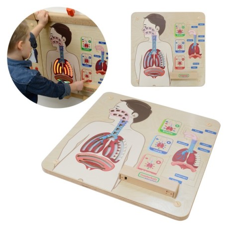 MASTERKIDZ õppemäng Montessori hingamissüsteem | FreshDesign.ee