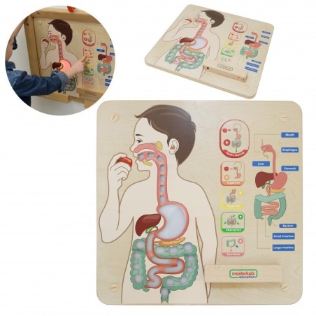 MASTERKIDZ Montessori seedesüsteemi õppetahvel | FreshDesign.ee