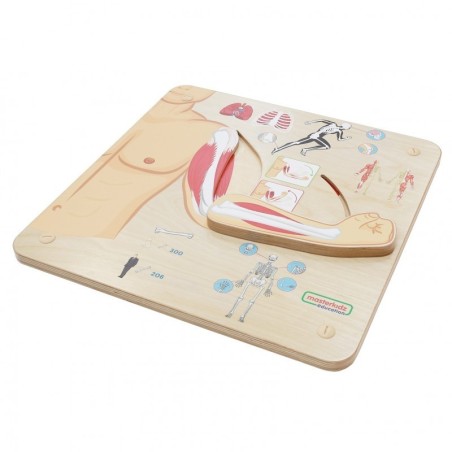 MASTERKIDZ Montessori lihasluukonna õppetahvel