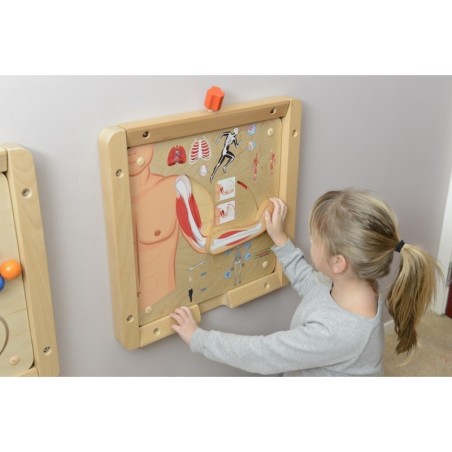 MASTERKIDZ Montessori lihasluukonna õppetahvel | FreshDesign.ee