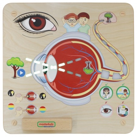 MASTERKIDZ Montessori nägemismeele õppetahvel | FreshDesign.ee