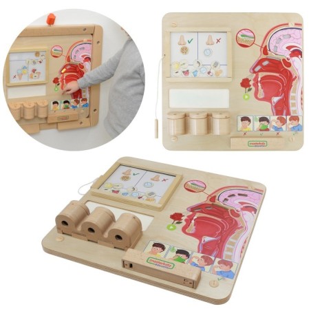 MASTERKIDZ Montessori lõhnataju õppetahvel | FreshDesign.ee